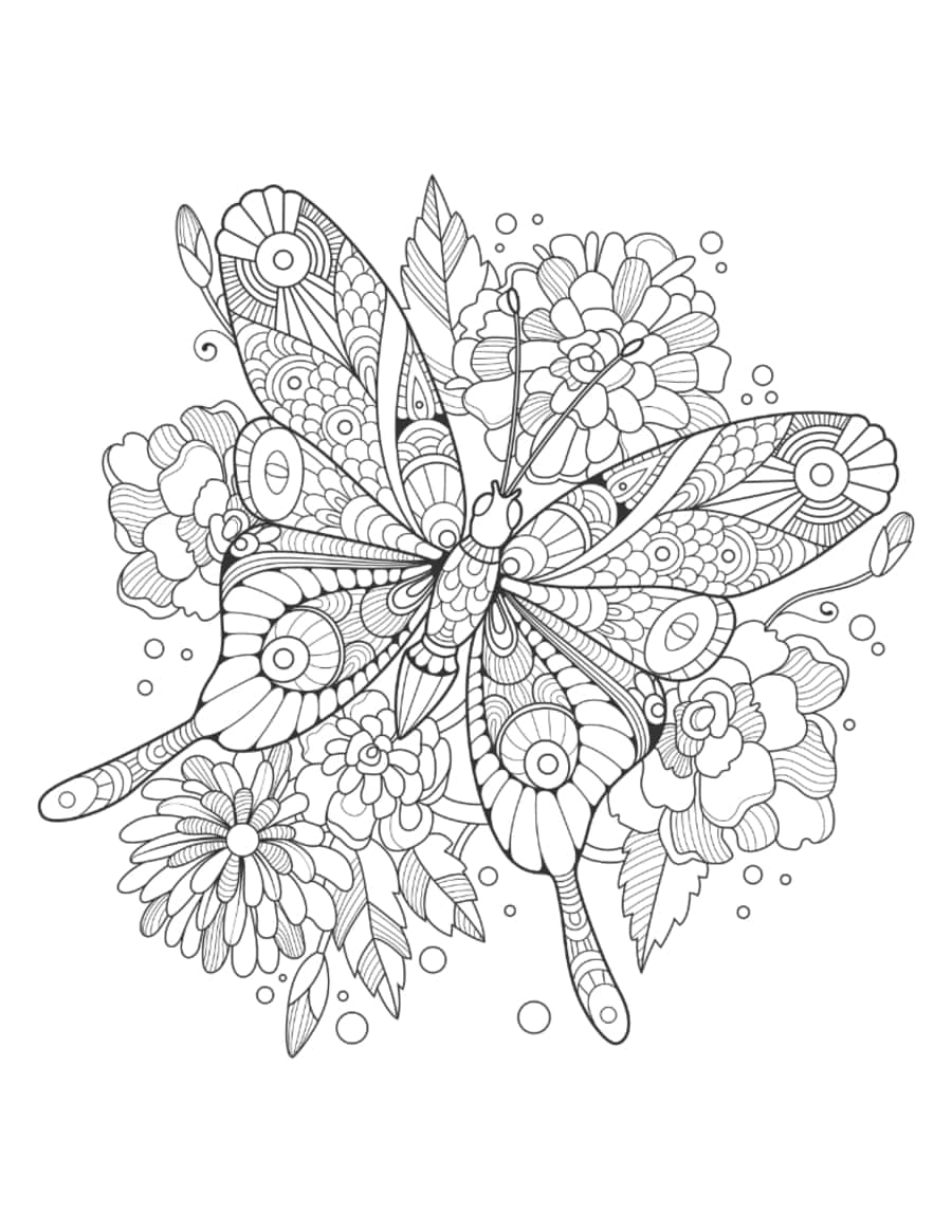 Butterfly Intricate Pattern Flowers For Adults Tracing Worksheets Pdf Free Vectors